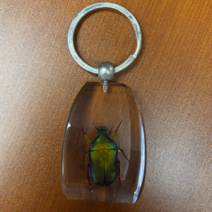 Beetle Keychain